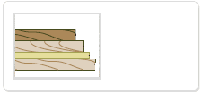 quietwoodthumb